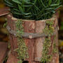 Wooden Lodge Bird House Planter, thumbnail 4 of 8