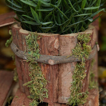 Wooden Lodge Bird House Planter, 4 of 8