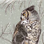 'Owl' Print, thumbnail 3 of 3