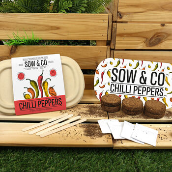 Sow And Co Grow Kits Chilli, Bonsai, Herbs Or Cactus, 8 of 12