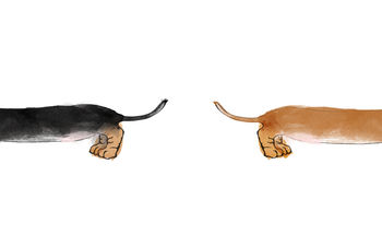 Double Cheeky Sausage Dog Butt Illustration Print, 3 of 3