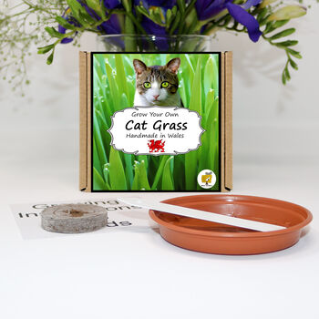 Gardening Gift. Cat Grass Growing Kit, 2 of 5