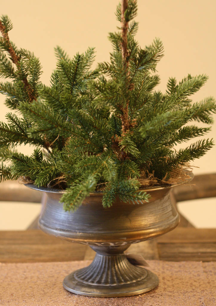 Faux Christmas Trees For Tables / Desks Hessian Base By The Wedding of