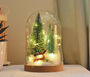 Christmas Terrarium Kit, Glass Dome With Fairy Lights, thumbnail 1 of 8