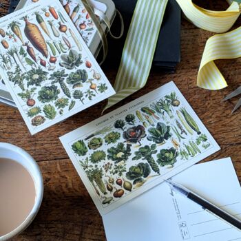 Nostalgic Floral Botanical Postcards In A Tin | 20 Pcs, 4 of 12