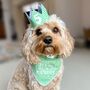 Gingham Dog Birthday Bandana And Hat Set, thumbnail 2 of 11