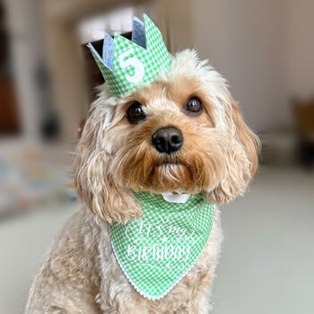 Gingham Dog Birthday Bandana And Hat Set, 2 of 11