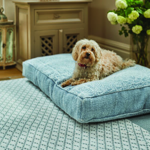 Beds and Blankets for Pets | notonthehighstreet.com