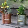 Set Of Two Country Style Embossed Garden Planters, thumbnail 1 of 10