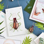 Jewel Beetle Plaque Kit, thumbnail 3 of 4