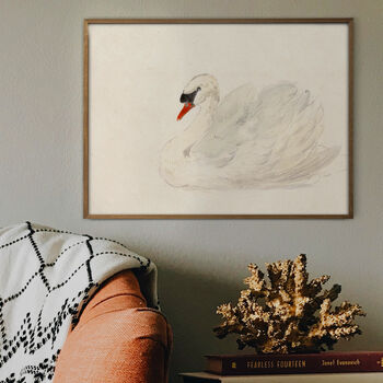 Swan Painting Print, Framed Or Unframed Circa 1700s, 2 of 11