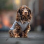 Dachshund Dog Technical Fleece Coat, thumbnail 1 of 8