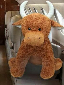 cuddly highland cow toy