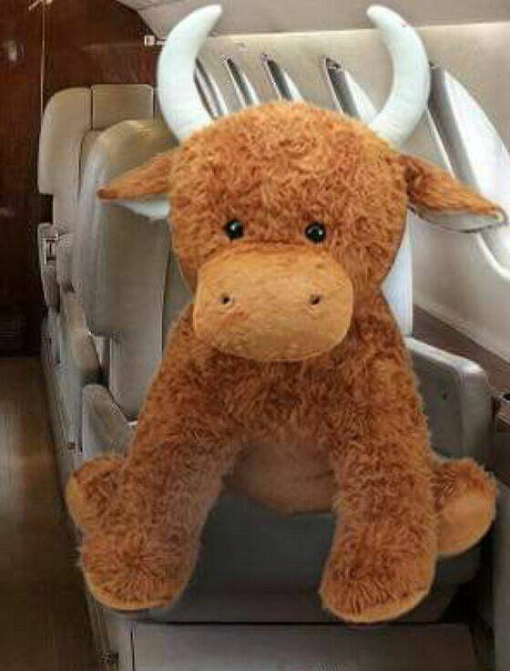 Scottish Highland Cow Huge Cuddly Soft Toy By Jomanda Soft Toys, Gifts