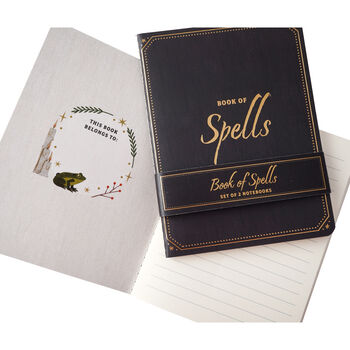 Enchanted Emporium 'Book Of Spells' Notebook Set, 4 of 6