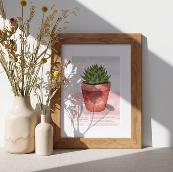 Echeveria Agavoides Illustrated Print, 2 of 5