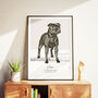 Custom Pet Portrait Minimal Graphic Style, thumbnail 2 of 5