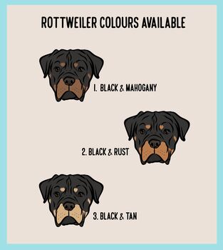 Rottweiler Dog Baby Onesie, 4 of 6