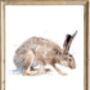 Trio Of Fine Art Hare Prints, thumbnail 2 of 5