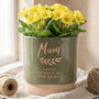Personalised Name Indoor Plant Pot, thumbnail 1 of 11