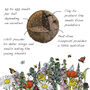 Wildflower Jar Stocking Fillers Set Of Six Flowers, thumbnail 8 of 11