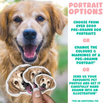 Custom Staffy Terrier Dog Chest Portrait Stickers, 6 of 8