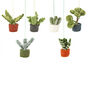 Handmade Felt Mini Hanging Plants, Set Of Six, thumbnail 1 of 3