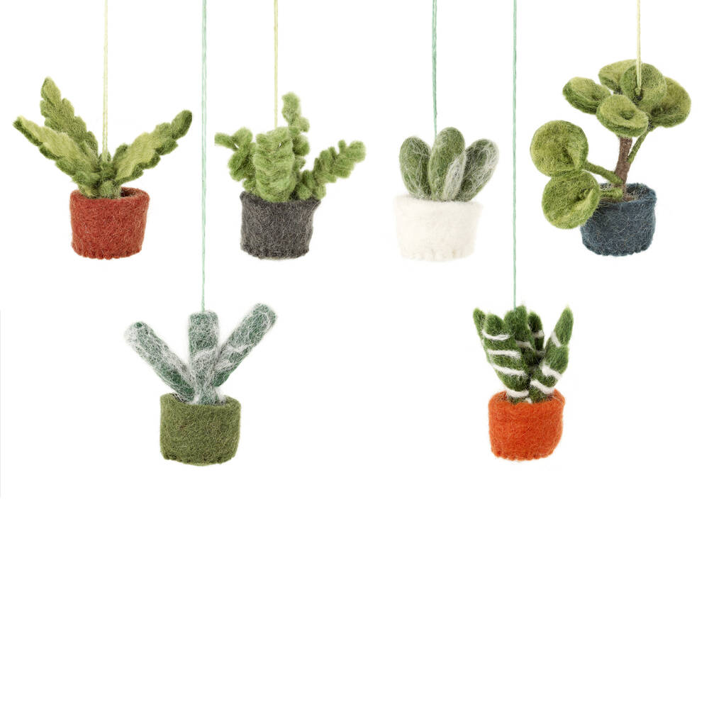 Handmade Felt Mini Hanging Plants, Set Of Six By Felt so good
