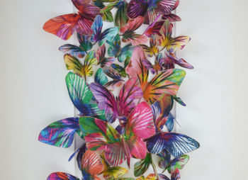 Zest Butterfly Wall Art, 4 of 6