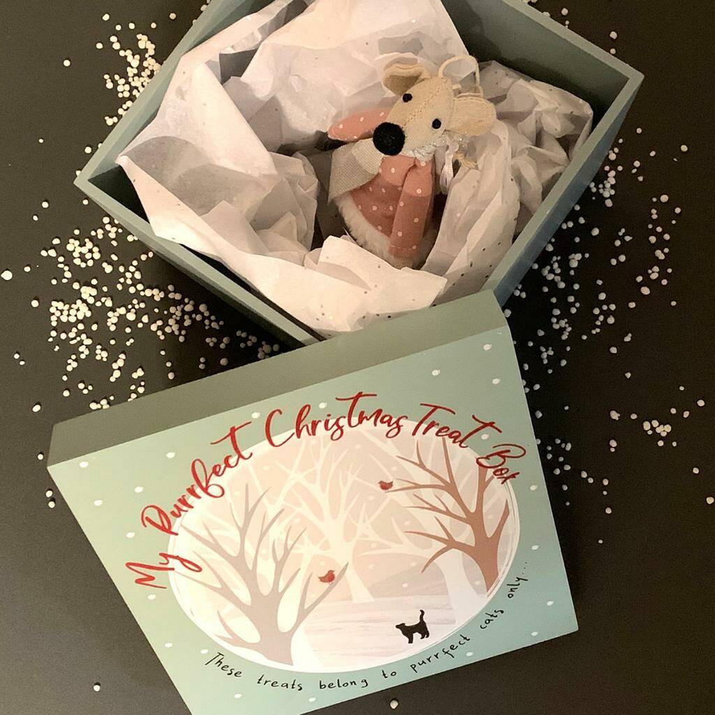 Cat Christmas Treat Box By Nest