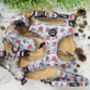 Little Pumpkin Bear Cub Dog Collar, thumbnail 7 of 8