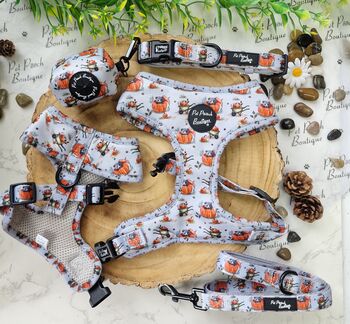 Little Pumpkin Bear Cub Dog Collar, 7 of 8