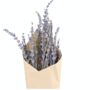 Long Stemmed Dried Lavender Flowers, thumbnail 2 of 2
