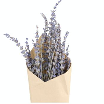Long Stemmed Dried Lavender Flowers, 2 of 2