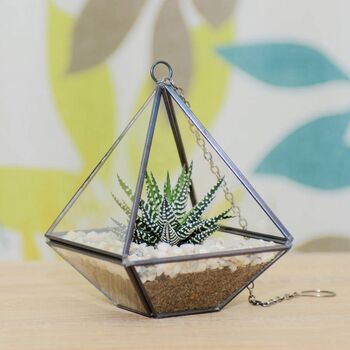 Small Geometric Glass Vase Succulent Terrarium Kit, 3 of 4