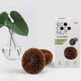 Eco Coconut Scourers Pack Of Two, thumbnail 1 of 1