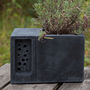 Charcoal Concrete Planter With Bee Hotel Beepot, thumbnail 1 of 11