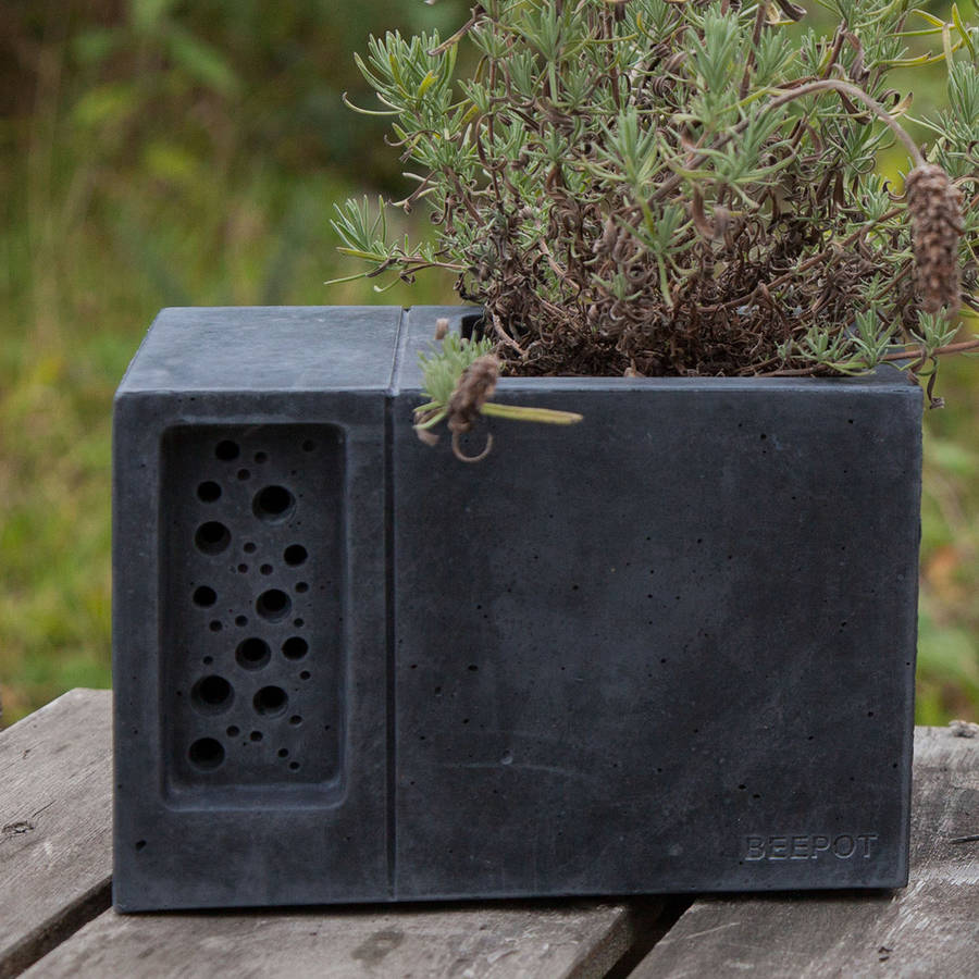 Charcoal Concrete Planter With Bee Hotel Beepot, 1 of 11