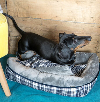 Grey Tartan Check Plush Dog Sofa Bed, 2 of 4