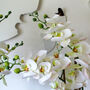 White Everlasting Singapore Orchid Plant, thumbnail 2 of 3
