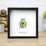 Green Scarab Beetle Insect Bug Moth Butterfly Box Frame Entomology Taxidermy Interior Design Modern Home Decor Wall Hanging Display Gift Ornament, thumbnail 1 of 3