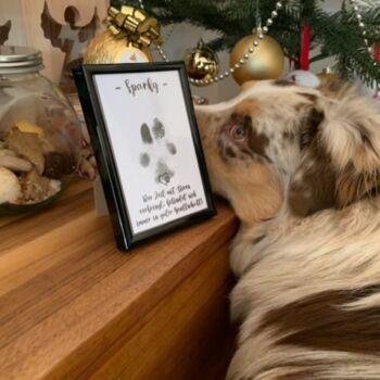 New Puppy Memories Kit, 2 of 8