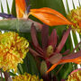 Sipi Fresh Flower Letterbox Gift, thumbnail 2 of 3