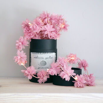 Cornflower Fairy Lights, 8 of 8