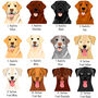 Labrador Personalised Dog ID Name Tag, thumbnail 2 of 12