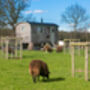 Hither Shepherd Hut Two Night Retreat With One Hour Beauty Treatment On Site Included, thumbnail 6 of 9