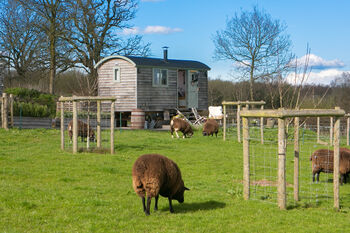 Hither Shepherd Hut Two Night Retreat With One Hour Beauty Treatment On Site Included, 6 of 9