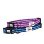 Comfort Collection Padded Dog Collar, thumbnail 2 of 11