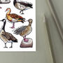Geese Of Britain Watercolour Postcard, thumbnail 7 of 8