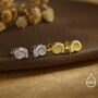 Sterling Silver Ammonite Shell Stud Earrings, thumbnail 6 of 12